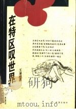 在特区叹世界（1998 PDF版）