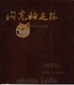闪光的足迹  合肥地区中共党史画册（1988 PDF版）