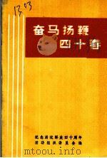 奋马扬鞭四十春（ PDF版）