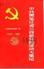 中共黑龙江省兰西县党的活动大事记 党史资料第1辑 1945-1985 PDF电子版封面 中共兰西县委党史研究室编