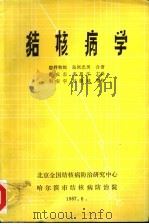 结核病学  上、下合订本（1987 PDF版）