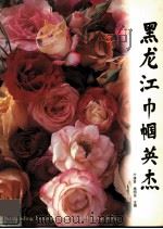 黑龙江巾帼英杰   1995  PDF电子版封面  7207031262  于清贤，杨明远主编 