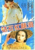 钻石红颜泪（1988 PDF版）