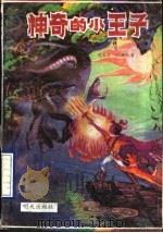 神奇的小王子   1989.12  PDF电子版封面  7533205286  仉玉才，仇雁秋著 