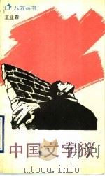 中国文字狱 1990 PDF电子版封面 7536006268 王业霖编著