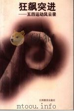 狂飙突进  五四运动风云录   1999  PDF电子版封面  7539232528  本社编写；周榕芳总策划；王东林执笔 