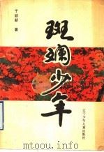 斑斓少年 1992 PDF电子版封面 753151396X 于颖新著
