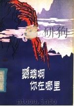 鹦鹉啊 你在哪里 1979 PDF电子版封面 10100·319 程远著