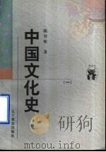 中国文化史 1 1998 PDF电子版封面 7538250409 陈登原著