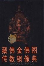 藏传佛教金铜佛像图典   1996  PDF电子版封面  7501008752  王家鹏编 