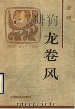 龙卷风 1995 PDF电子版封面 7806130683 蓝翎著