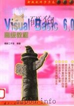 中文Visual Basic 6.0高级教程 1999 PDF电子版封面 7118020656 捷新工作室编著