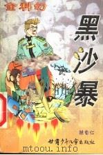 黑沙暴 1999 PDF电子版封面 7542213857 陈自仁著