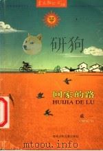 回家的路   1998  PDF电子版封面  7537618569  成一著 