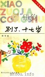 别了  十七岁（1995 PDF版）