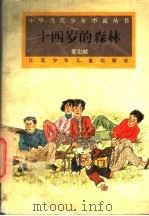 十四岁的森林   1995  PDF电子版封面  7534612055  董宏猷著 