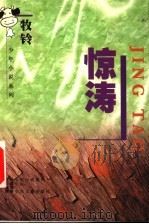 惊涛 1998 PDF电子版封面 753581509X 牧铃著