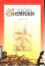 武侠鼻祖向恺然代表作（1996 PDF版）