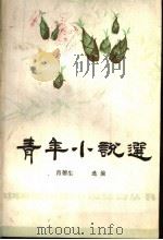 青年小说选 1986 PDF电子版封面 10157·264 肖德生选编