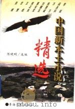 中国新本土小说精选 1995 PDF电子版封面 7225010867 陈晓明选编