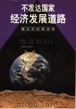 不发达国家经济发展道路：理论和政策选择   1998  PDF电子版封面  7806136525  蔡中兴，孙新雷，冯文军，杨正位，冯叔君，高永国，李友根，裴？ 