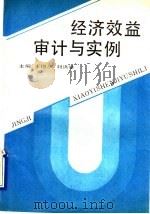 经济效益审计与实例 1992 PDF电子版封面 7561018096 王锡庆,刘洪举主编