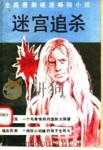 迷宫追杀 1988 PDF电子版封面 754040373X (美)乔恩·兰德著;文力,戴建编译