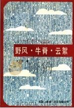 野风·牛脊·云絮 1991 PDF电子版封面 王玉民著