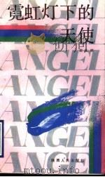 霓虹灯下的天使 1993 PDF电子版封面 722402242X 胡良骅著