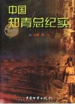 中国知青总纪实 1998 PDF电子版封面 7504715441 吴洵主编