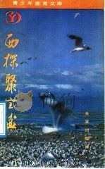 西探聚宝盆 1991 PDF电子版封面 7541703834 李敏杰编著