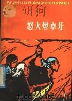 村史:怒火燃卓圩 1976 PDF电子版封面 10102·678 灵璧县革委会政工组宣传小组编