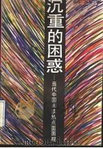 沉重的困惑  当代中国阅读热点面面观   1993  PDF电子版封面  7540411562  南斗，河流著 