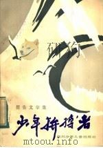 少年拚搏者   1985  PDF电子版封面  R10247·309   