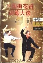 中国梅花桩训练大法 1998 PDF电子版封面 7543615576 燕子杰著