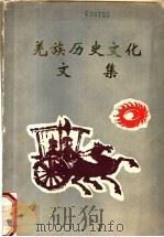 羌族历史文化文集  第4集   1993  PDF电子版封面    郑文泽主编 
