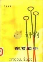 在考验中 第2版 1981 PDF电子版封面 10188·230 (朝)尹世重著;吉文涛,金圣哲,高岱译
