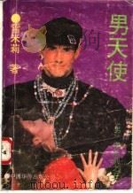 男天使 1991 PDF电子版封面 7800745627 雪米莉著