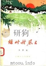 绿竹村风云 第1部 第2版 1978 PDF电子版封面 10078·3025 王杏元著