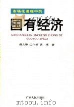 市场化进程中的国有经济   1999  PDF电子版封面  7219040385  唐文琳等著 