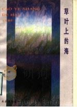 草叶上的海   1991  PDF电子版封面  7503908319  王桂林著 