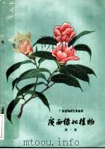 广西绿化植物 第1集 1965 PDF电子版封面 广西植物研究所编辑