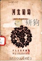 河北葡萄 1957 PDF电子版封面 T16086·15 河北省农业厅编