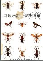 马尾松毛虫天敌图志 1986 PDF电子版封面 16113·147 孙明雅,奚福生,刘政主编