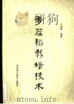 麦茬稻栽培技术 1985 PDF电子版封面 16365·41 王幼辉编著