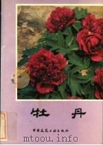 牡丹（1987 PDF版）