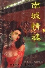 南城情魂 1996 PDF电子版封面 7227014800 黑林著