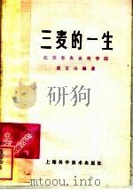 三麦的一生（1980 PDF版）