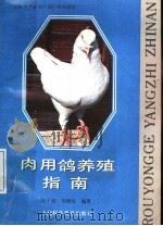 肉用鸽养殖指南 1988 PDF电子版封面 7542700960 陆子强,韦颂汉编著