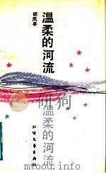 温柔的河流 1991 PDF电子版封面 7531704900 胡凤亭著